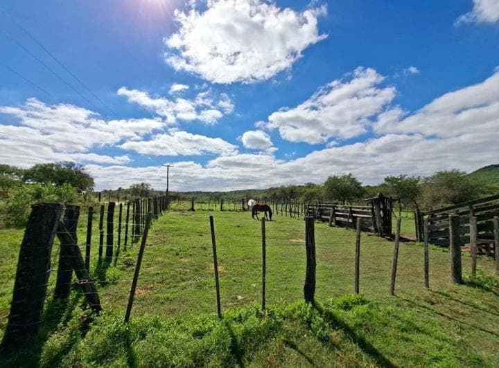 Venta Campo 78 Ha Villa del Dique - 4