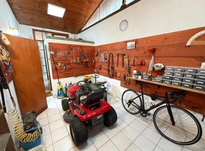 Chacra de 2,5 Ha con Casa, Cochera y Arboleda Consolidada – Chacras La Alameda - 3