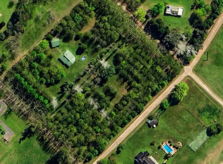 Chacra de 2,5 Ha con Casa, Cochera y Arboleda Consolidada – Chacras La Alameda - 2
