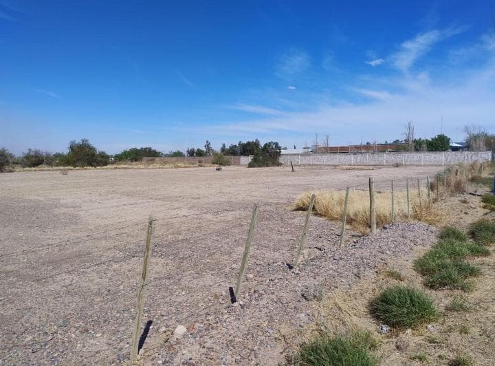 Terreno de 1 Ha Rn 40 Casi Calle 7. Pocito - 5