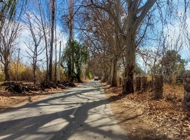 Venta de Terreno 1.557 m² en Terrada y Ruta 40 - 4