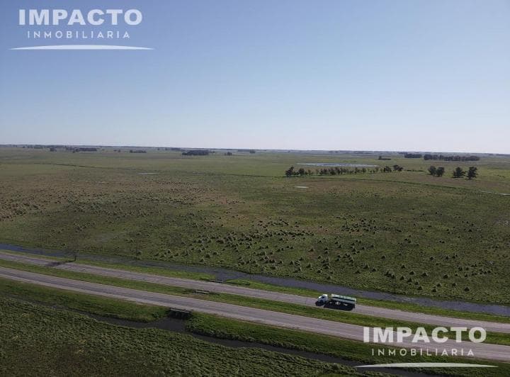 En Venta Campo Ganadero 105,6 Hectáreas en Cañuelas - 5