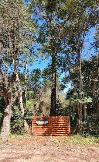 Terreno en Venta de 500 m² – Excelente Ubicación en Maschwitz - 2