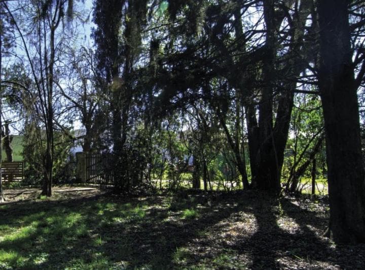 Terreno en Venta de 500 m² – Excelente Ubicación en Maschwitz - 5
