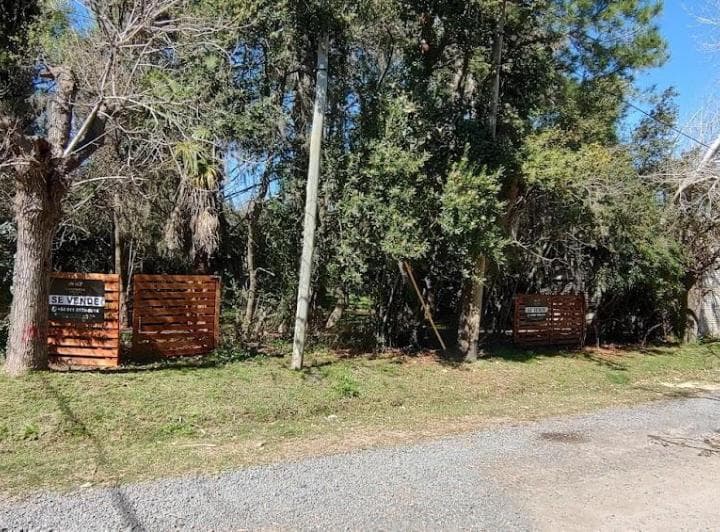 Terreno en Venta de 500 m² – Excelente Ubicación en Maschwitz - 4