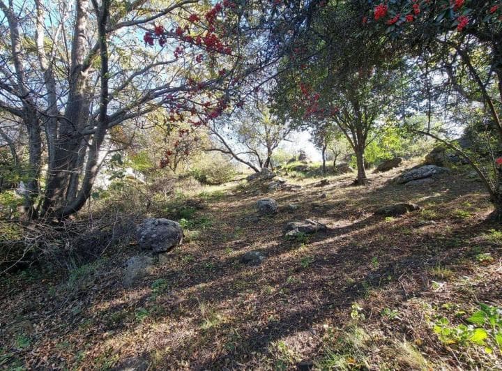 Venta Lote Cuesta Blanca 1538 m² Villa Carlos Paz - 3