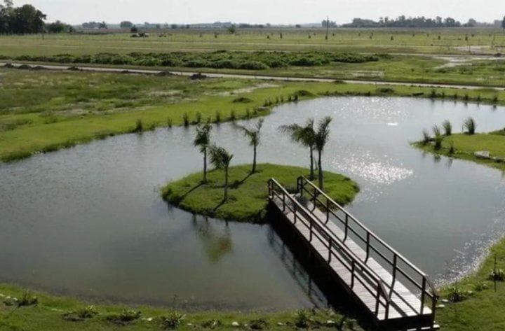 Venta Lote 700 m² en Plomer Haras Andrea Virginia - 4
