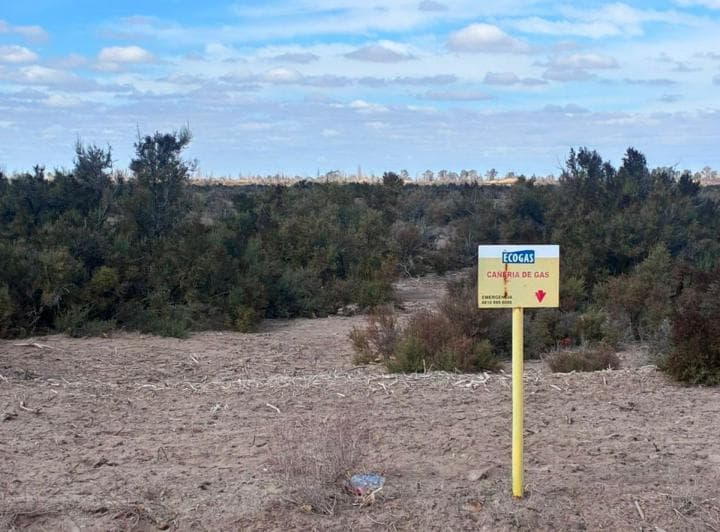 Campo en Venta en Lavalle - 2