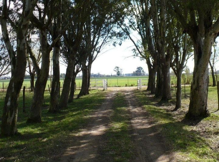 Venta Campo Zarate - 2