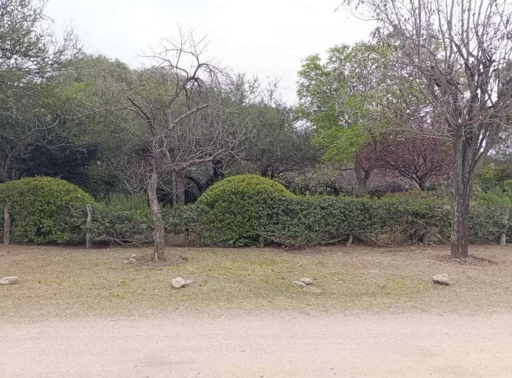Hermoso Lote a 200 m de Av del Sol, Merlo - 2