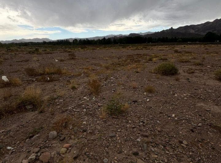 Venta Terreno en Las Bóvedas Uspallate Mendoza - 5