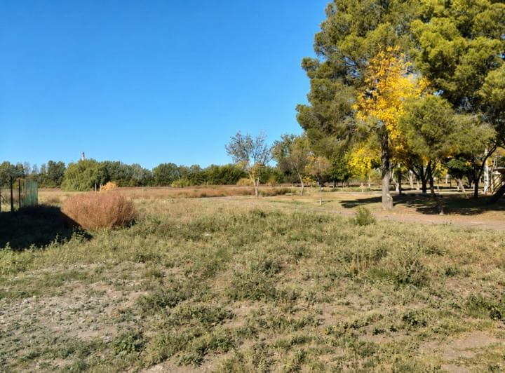 Lote Zona Residencial, General Alvear, Mendoza - 2