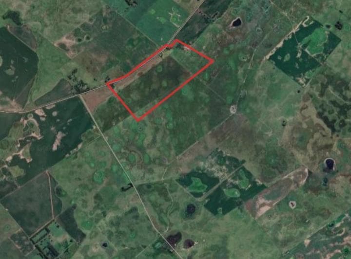 Campo Mixto de 75 Hectáreas en Gral. Alvear - Venta - 4