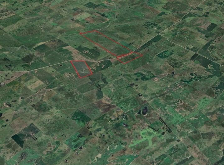 Campo Mixto 2 Parcelas Contiguas Parcela Complementaria de 496 Ha Totales en Gral. Alvear - 5