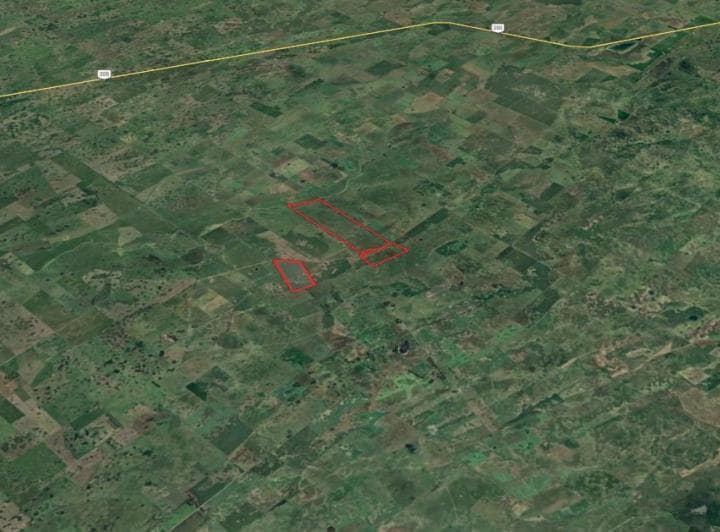 Campo Mixto 2 Parcelas Contiguas Parcela Complementaria de 496 Ha Totales en Gral. Alvear - 4