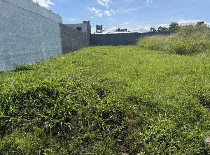 Venta Terreno 277 m² en Loteo Apuap Rio Blanco - 3