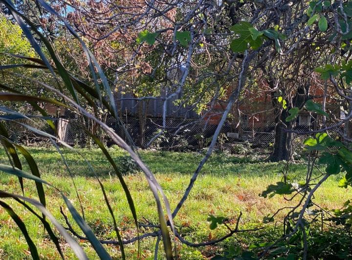 2 Lotes Contiguos en Venta en Oliveros - 2