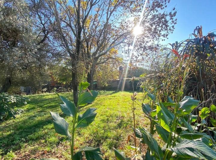 2 Lotes Contiguos en Venta en Oliveros - 5