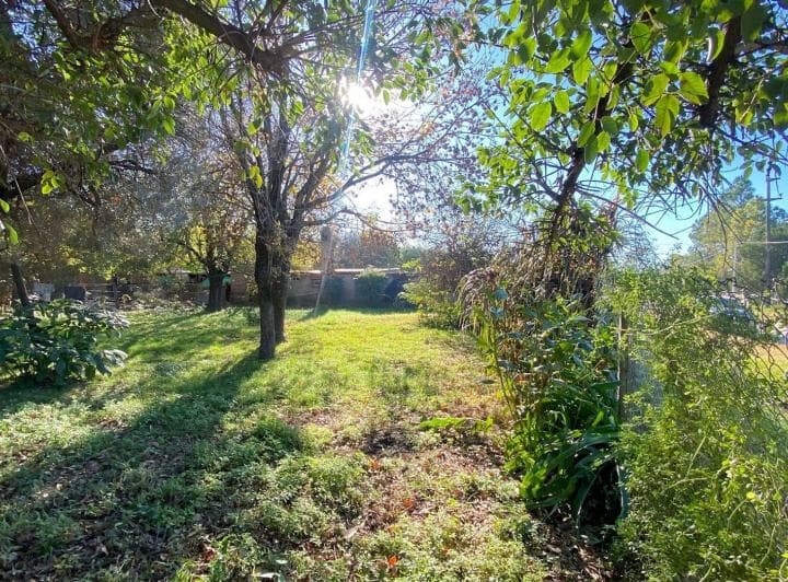 2 Lotes Contiguos en Venta en Oliveros - 3