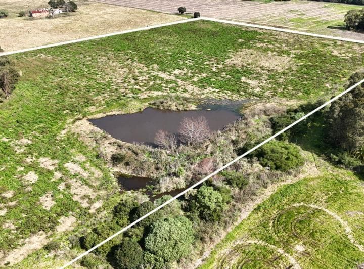 Vendo Campo Terreno 4,4 Hectáreas C Tajamar Sauce - 5