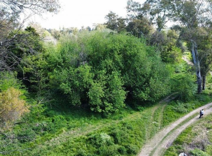 Venta de Lote La Lonja Pilar - 4