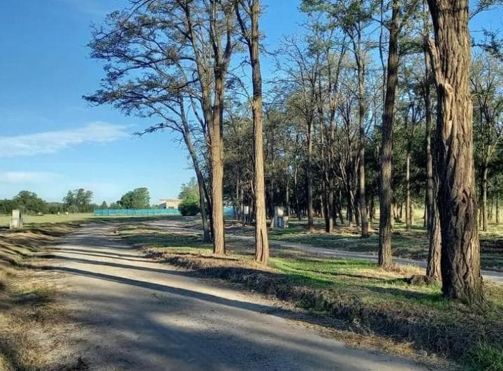 Oportunidad – Lote 2.000 m&sup2; en Santa Inés, Comarcas de Luján – Dueño Directo - 4