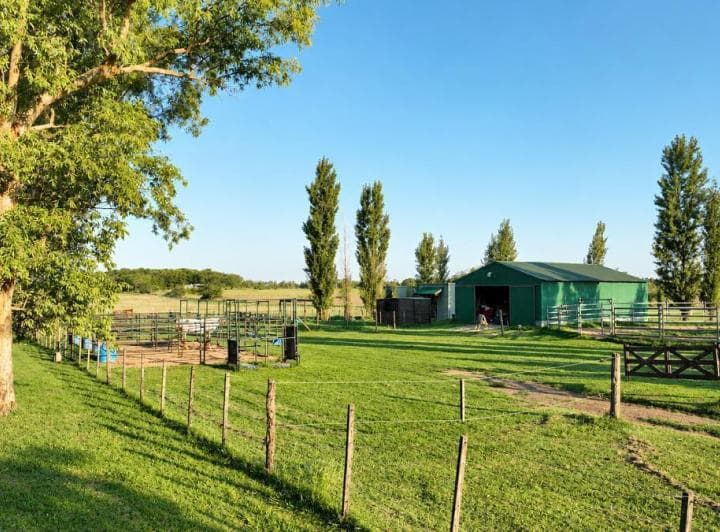 Chacra de 10 Has con Casa y Haras | Excelente Entorno de Campo - 3