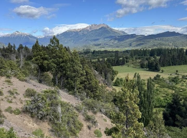 Propiedad Rural en Venta en Trevelin | 8,8 Hectáreas Sobre Ruta 259 - 4