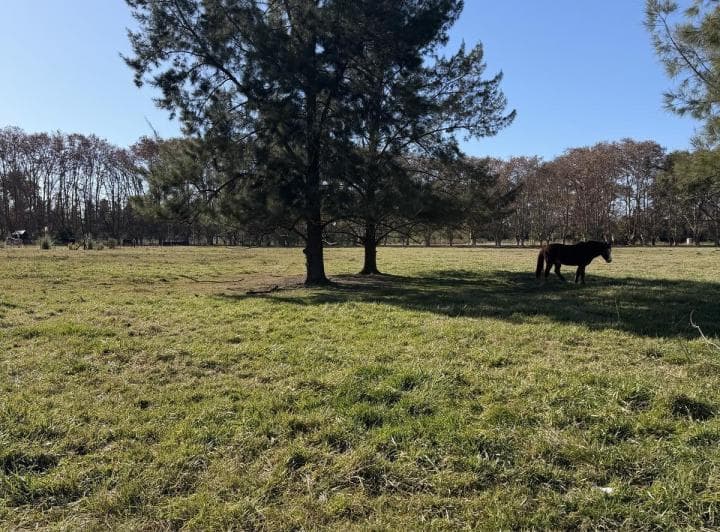 Venta Terreno en Estancia Las Malvinas Brandsen - 4