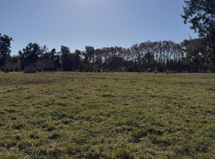 Venta Terreno en Estancia Las Malvinas Brandsen - 5