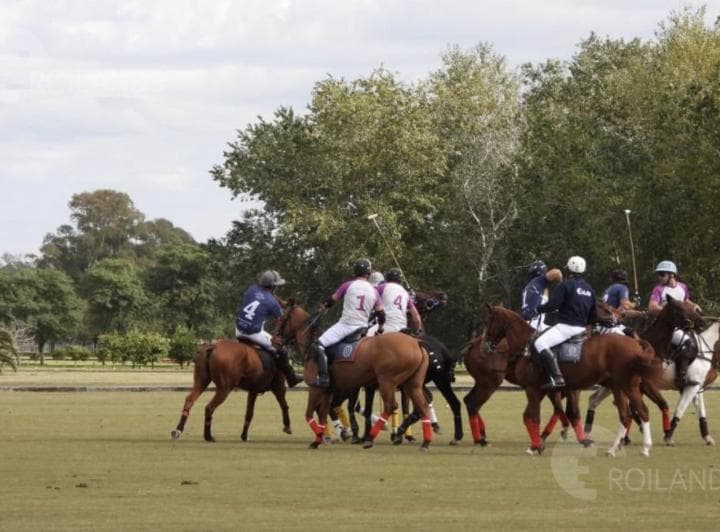 Venta Lote en Barrio Puesto Viejo Club de Campo y Polo Cañuelas - 3