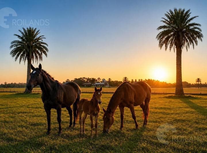 Venta Lote en Barrio Puesto Viejo Club de Campo y Polo Cañuelas - 4