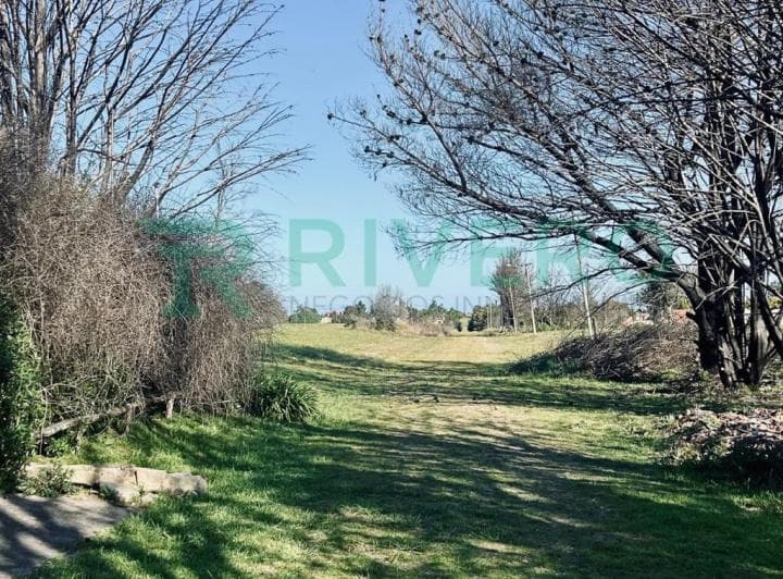 Lote Terreno - 4