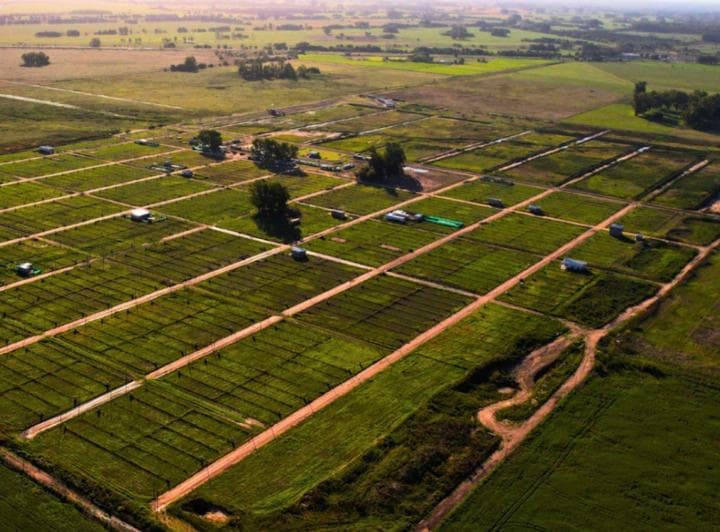 Venta Lote 300 m² en Reserva del Oeste - 2