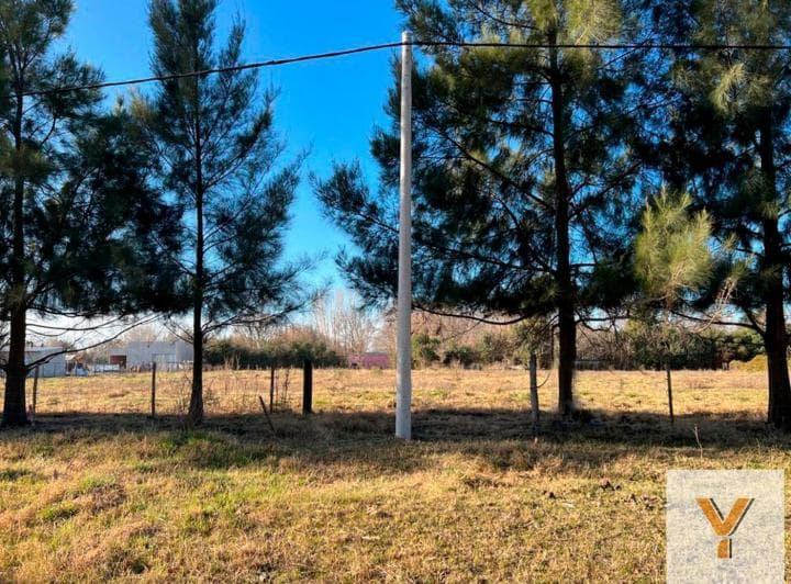 Terrenos en Venta - 6.146 m² - Saladillo - 5