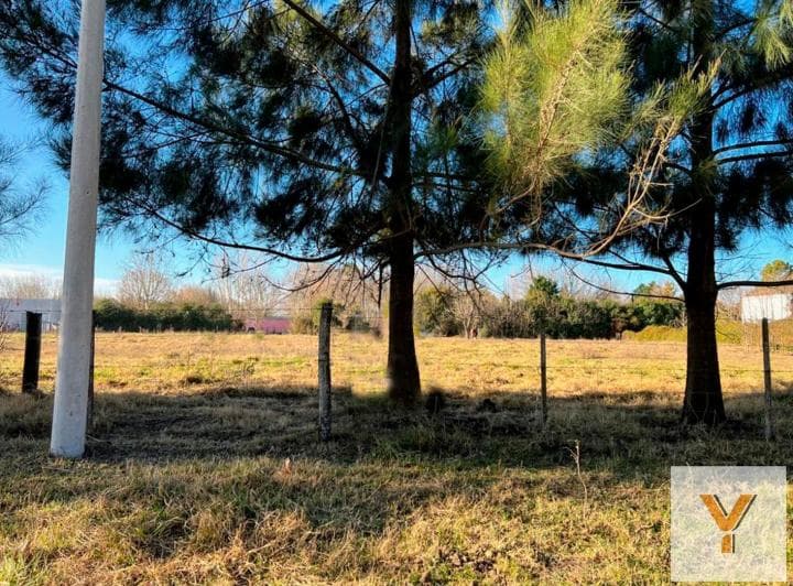Terrenos en Venta - 6.146 m² - Saladillo - 3