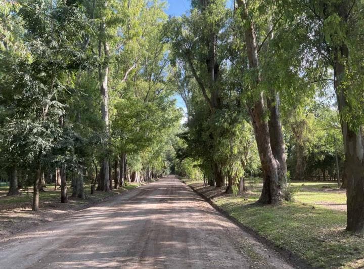 Venta Lote Campos de Roca I Central - 4
