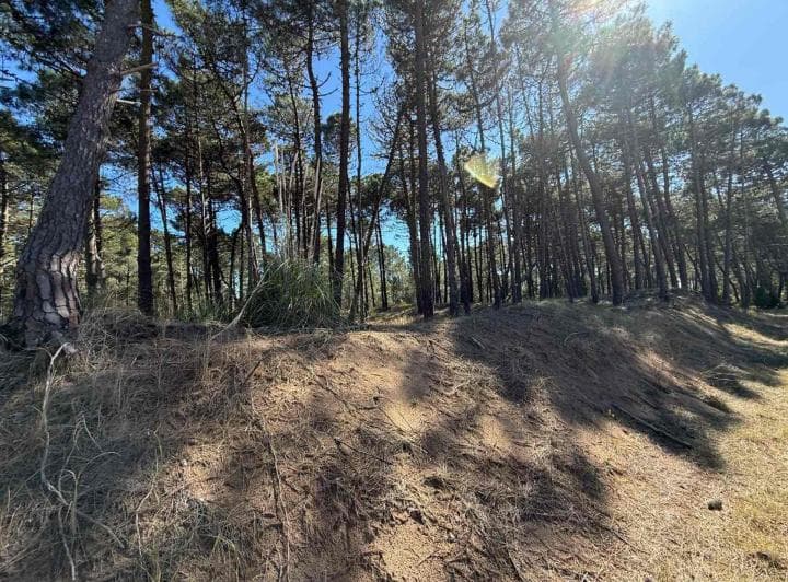 Lote Venta Barrio Bosques Pinamar Norte - 4