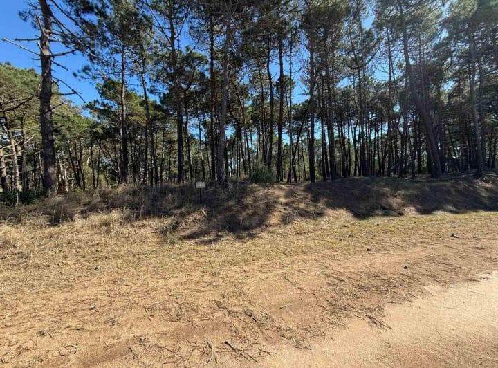 Lote Venta Barrio Bosques Pinamar Norte - 2