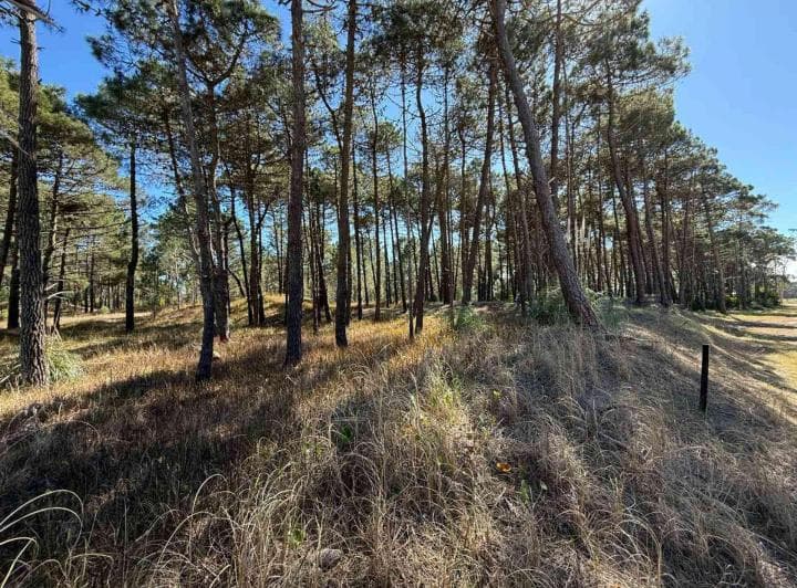 Lote Venta Barrio Bosques Pinamar Norte - 3