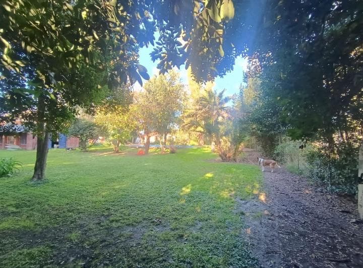 Venta Gran Lote y Casa 3 Amb a Refaccionar La Reja - 4