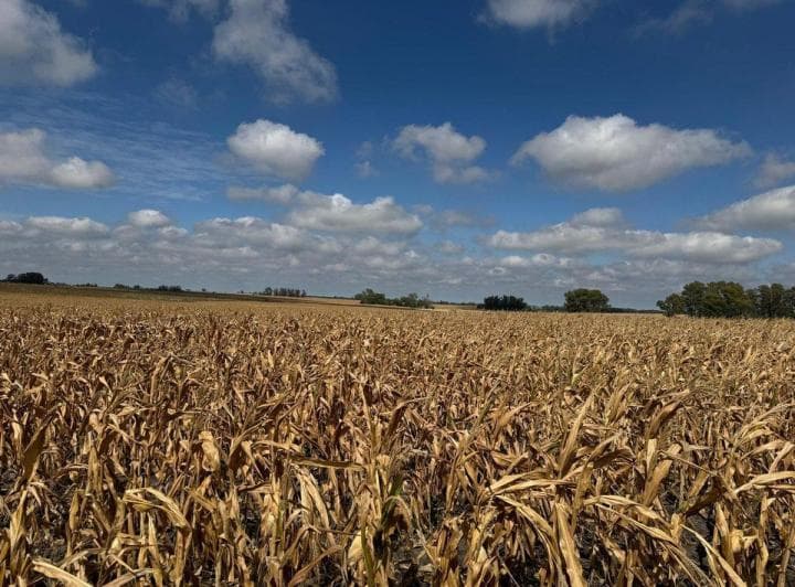 Venta de Campo Agrícola en Soriano - 4