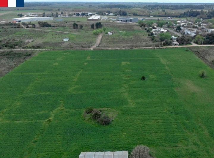 Venta Terreno Suburbano de 60.032 m² Casi Ruta 101 - 5