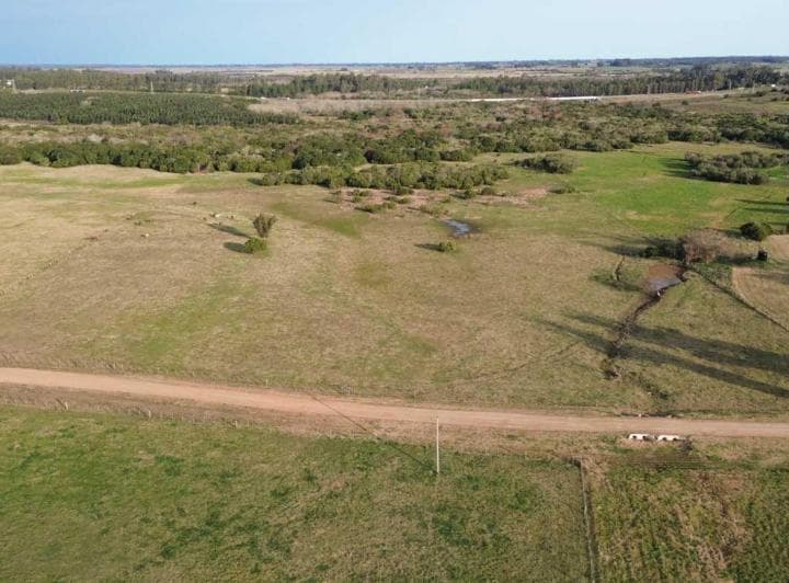 Venta Exclusiva Chacra 8ha en Terrazas del Solis - 3
