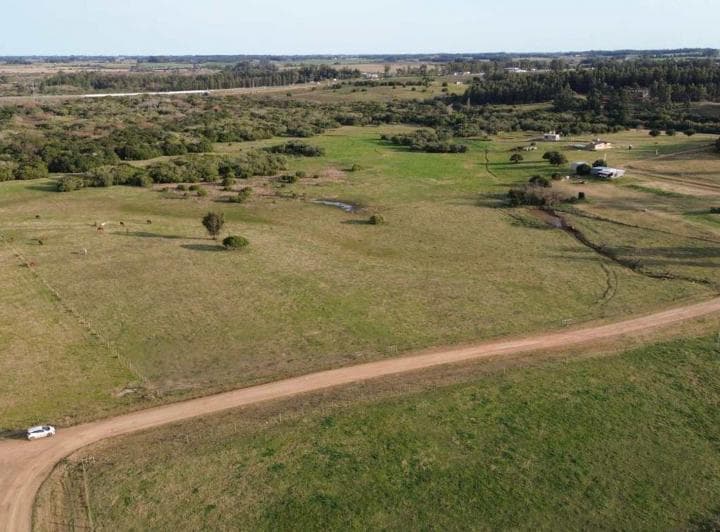 Venta Exclusiva Chacra 8ha en Terrazas del Solis - 2