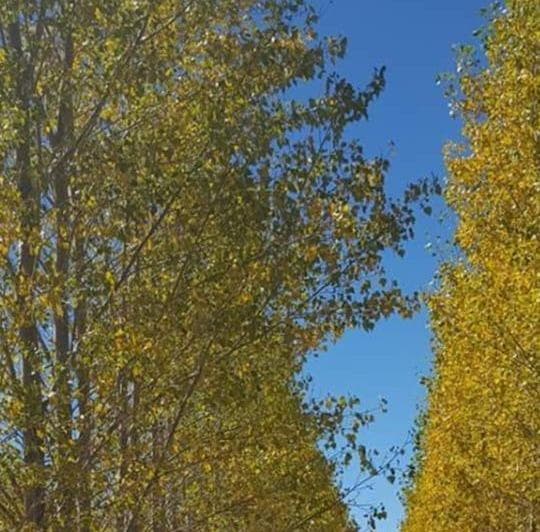 Terreno en Venta en Uspallata, Los Tambillos, Mza - 2
