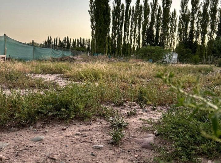 Lote en Venta - Perdriel Lujan de Cuyo - 2