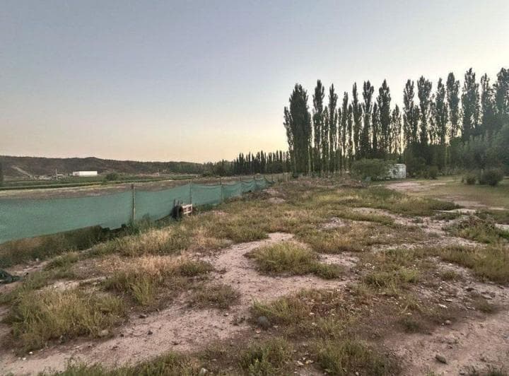 Lote en Venta - Perdriel Lujan de Cuyo - 3