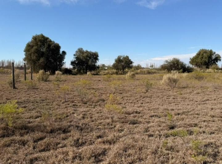 Lote en Venta en Las Paredes Barrio Semiprivado - 4