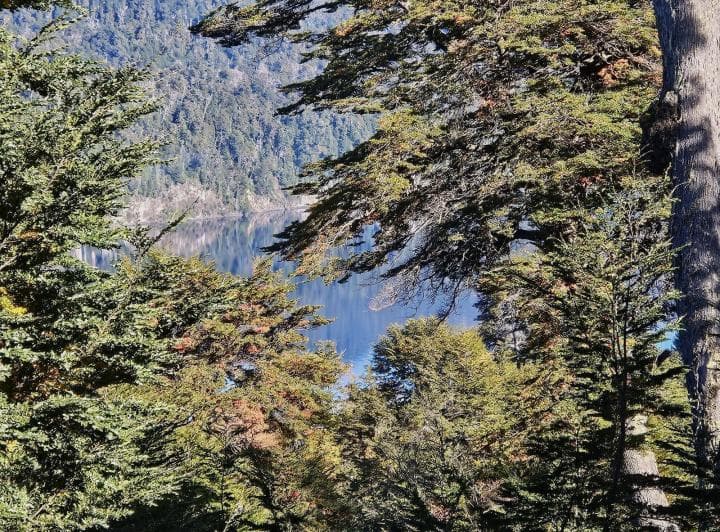 Venta de Casa con Vista Al Lago Nahuel Huapi - 5
